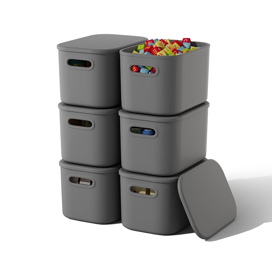 Organizadores